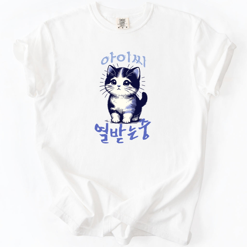 아이씨 (Aishh) Rage Consumes Me Funny Korean Cat T-Shirt