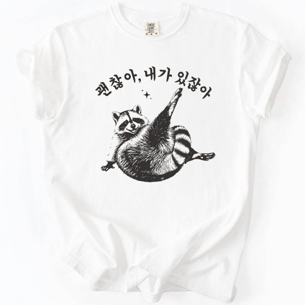괜찮아 내가 있잖아 (Gwenchana, you have me) Funny Korean T-Shirt