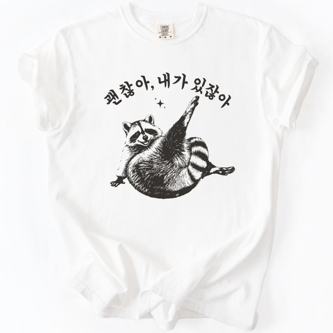 괜찮아 내가 있잖아 (Gwenchana, you have me) Funny Korean T-Shirt